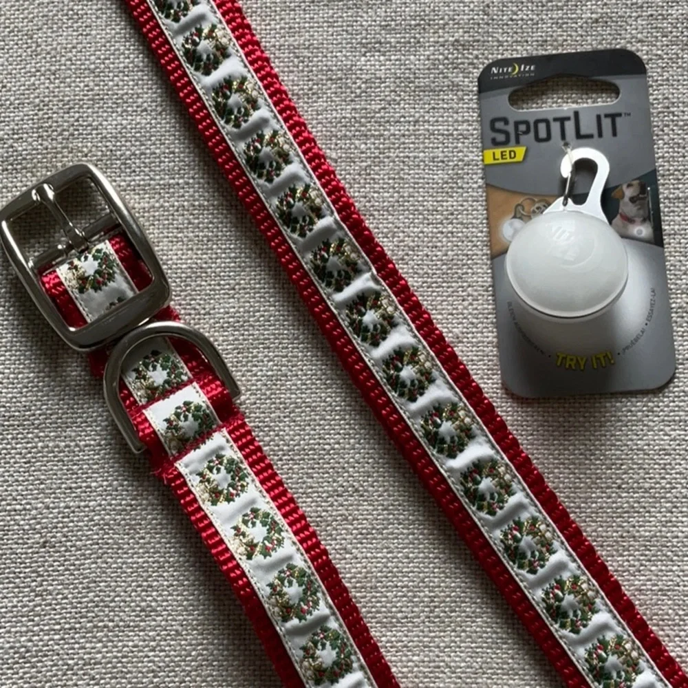 Dog Collar and Leash